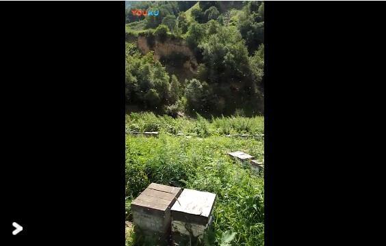 花岛蜂业基地