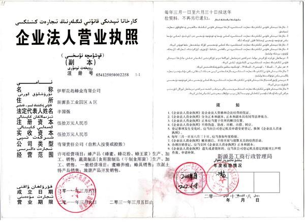 企业法人营业执照